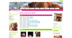 Desktop Screenshot of cavalierpage.com